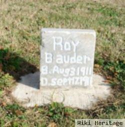 Roy Bauder