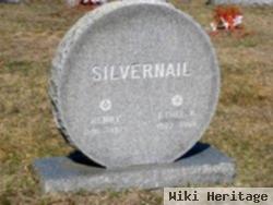 Henry Silvenail