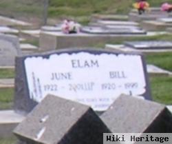 Irvin William "bill" Elam