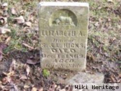 Elizabeth A. Hicks