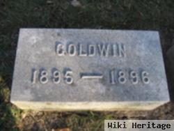 Goldwin Stipp