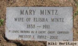 Mary A. Fletcher Mintz