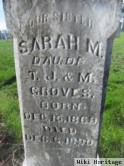 Sarah M Groves