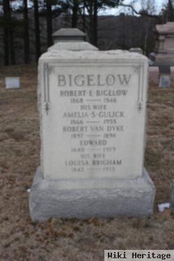 Robert Van Dyke Bigelow