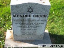 Mendel Sauer