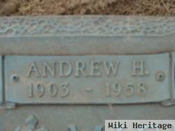 Andrew Henry Miederhoff