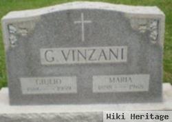 Giulio Vinzani