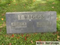 Audrey R Twiggs