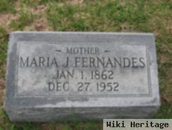 Maria J Fernandes