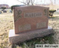 Alice A. Chapin Warner Bluecher