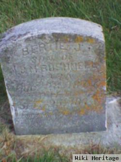 Bertie J. Bushnell