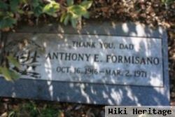 Anthony E. Formisano