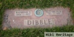 Raymond E Dibble