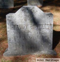 David G Swan