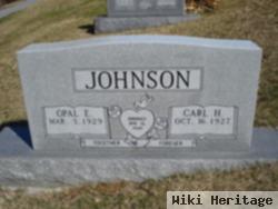 Carl H Johnson