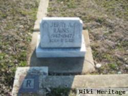 Jerry A. Rains