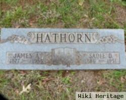 James Anderson Hathorn