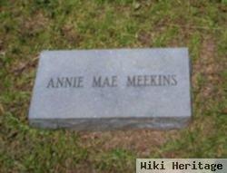 Annie Mae Meekins