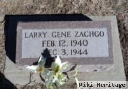 Larry Gene Zachgo