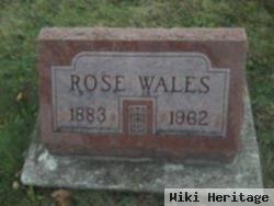 Rose Wales