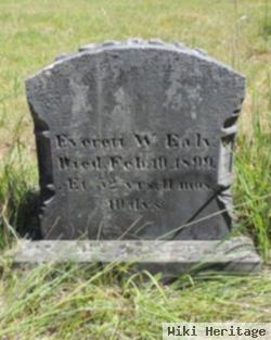 Everett W. Ealy