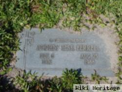 Audrey Lisk Ferrell