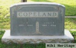 Lucy Pullen Covington Copeland