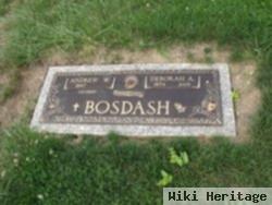 Deborah Ann Hirschi Bosdash