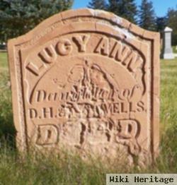 Lucy Ann Wells