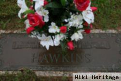 Fannie S. Hawkins