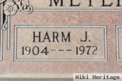 Harm J Meyerink