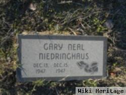 Gary Neal Niedringhaus