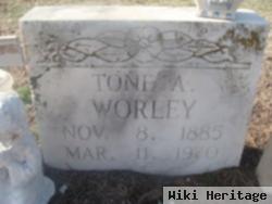 Tone A. Worley