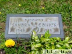 Sandra L. Cohick