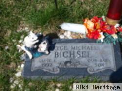Bryce Michael Bichsel