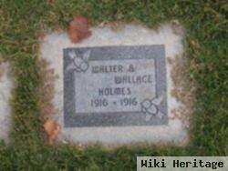 Wallace Holmes