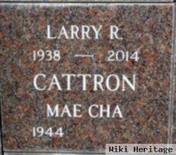 Larry R Cattron