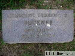 Theodosia Mumford Buckner