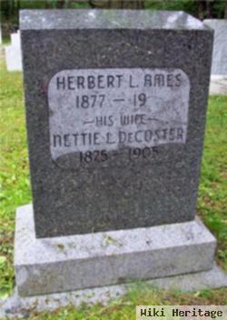 Nettie L. Decoster Ames