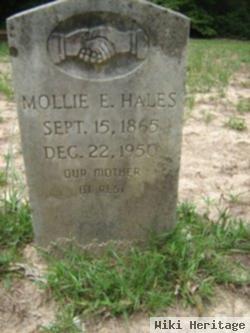 Mollie Ellen Hough Hales