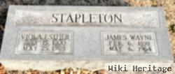 James Wayne Stapleton