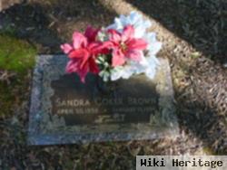 Sandra Sue Coker Brown