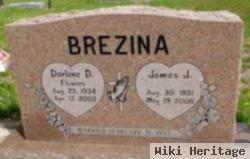 Darlene D Flowers Brezina