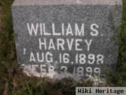 William S Harvey