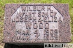 Wilbur H Wood