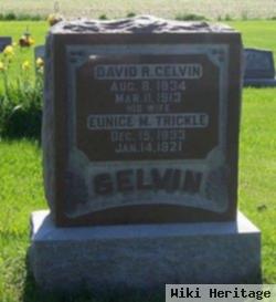 David R Gelvin