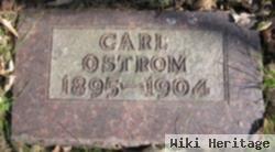 Carl Rienhart Ostrom