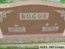 Albert Herman Bogue