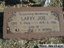 Larry Joe Downs