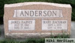 James Harvey Anderson